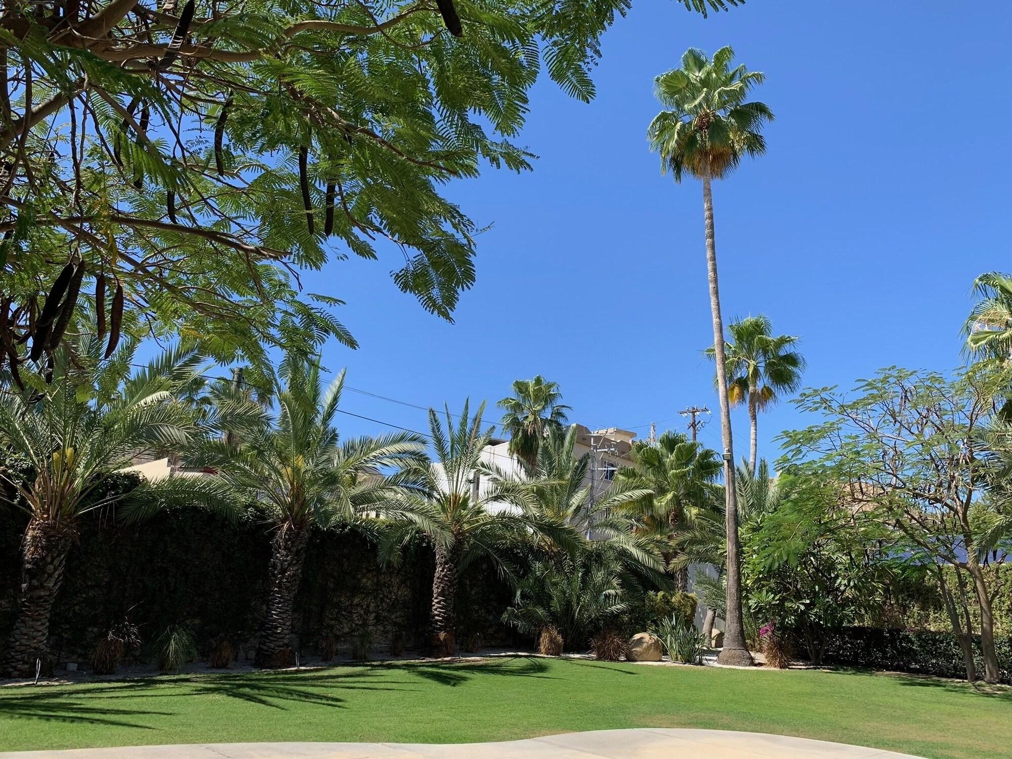 Los Milagros Hotel Cabo San Lucas Eksteriør billede
